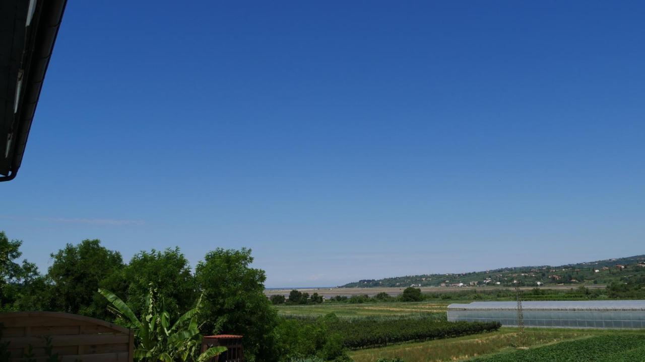 Penzion Palma Appartement Sečovlje Buitenkant foto